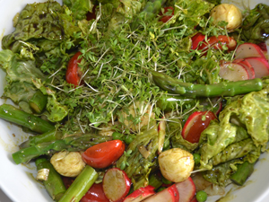 .. salat mit grünem spargel, mozarella und kürbiskernöl