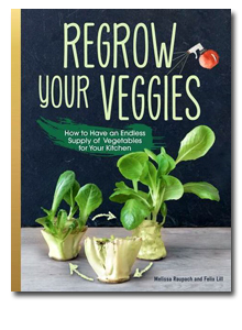 .. regrow your veggies