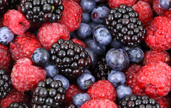 .. heimisches superfood