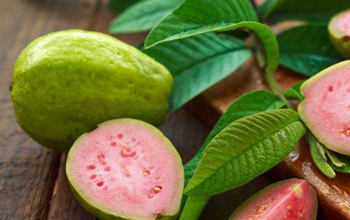 .. feijoa