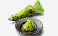 .. wasabi, grüner kren